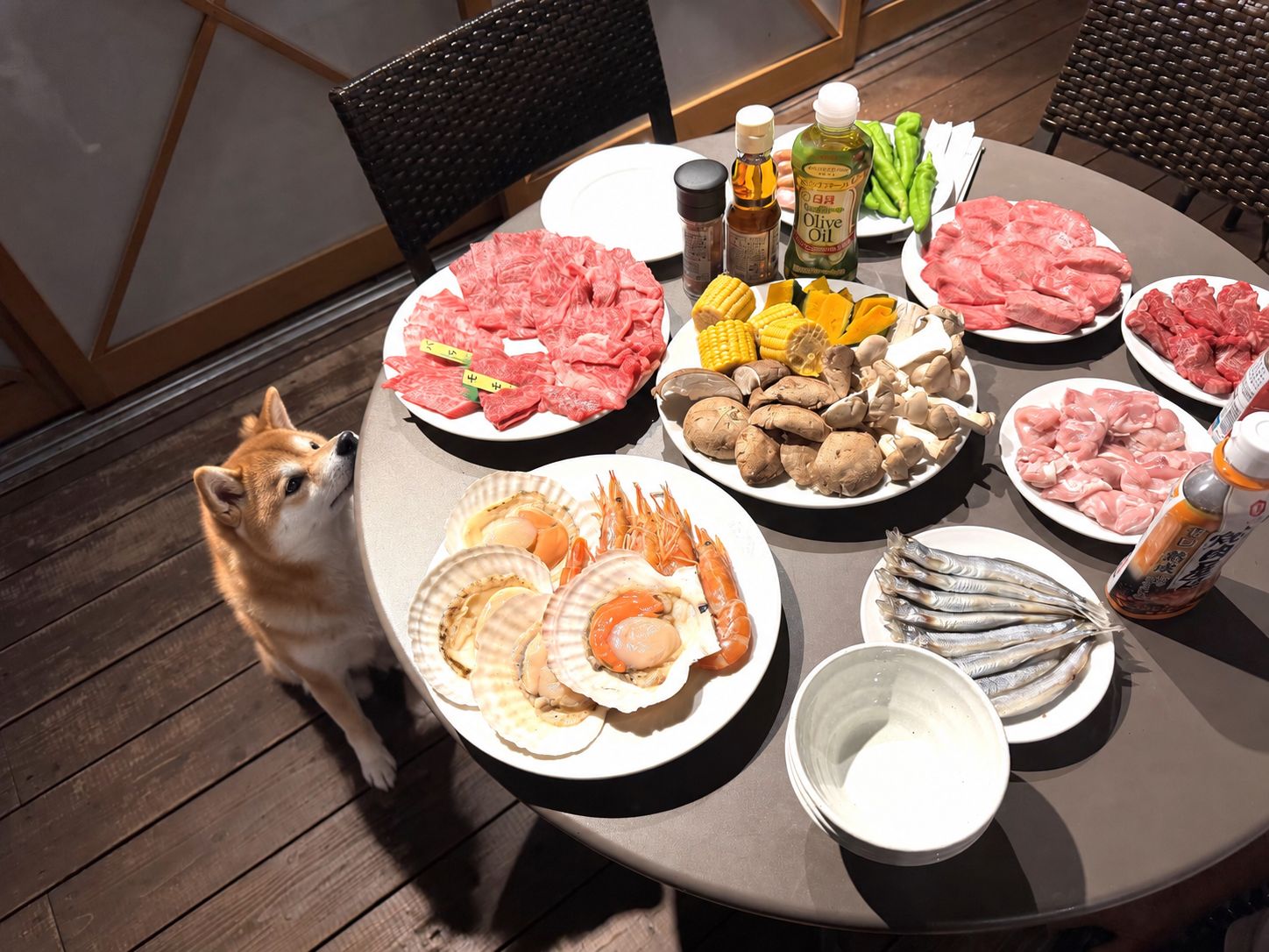 愛犬と一緒に楽しむBBQ