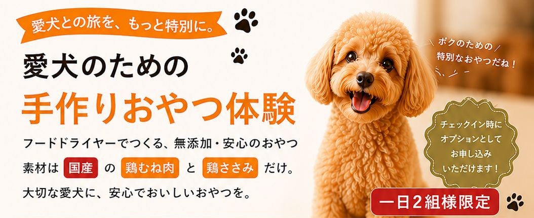 体験コンテンツ